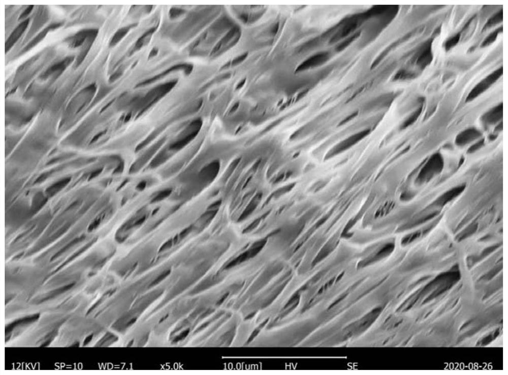 Porous radiation refrigeration film and preparation method thereof