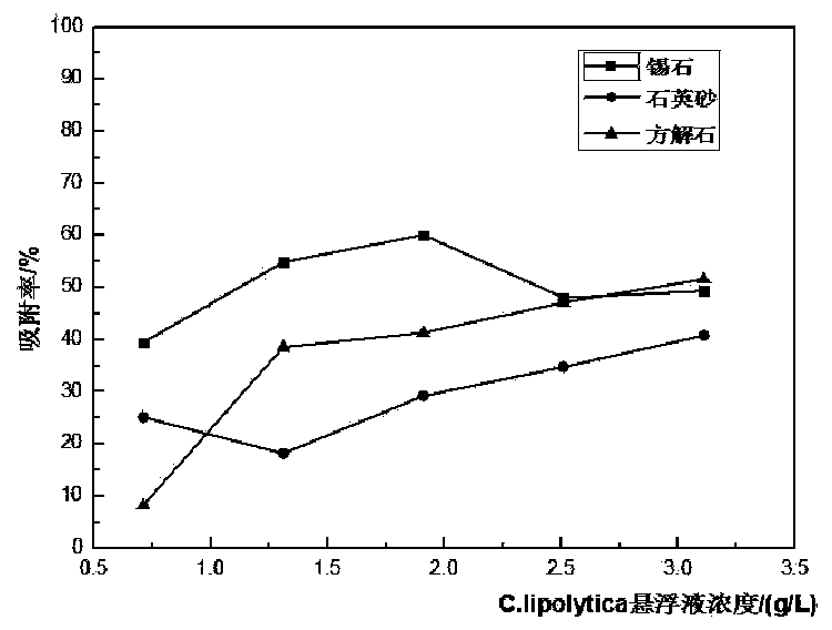 Low-grade fine-grained tin ore biological collecting agent and preparation method and application thereof