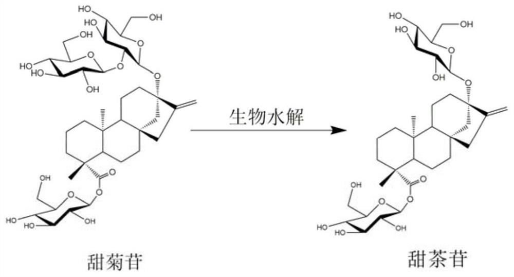 Strain for efficiently converting stevioside into rubusoside and culture method and application thereof