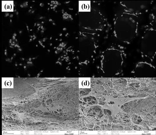 Method for preparing hydrogel wound dressing through low-temperature biological 3D printing technology