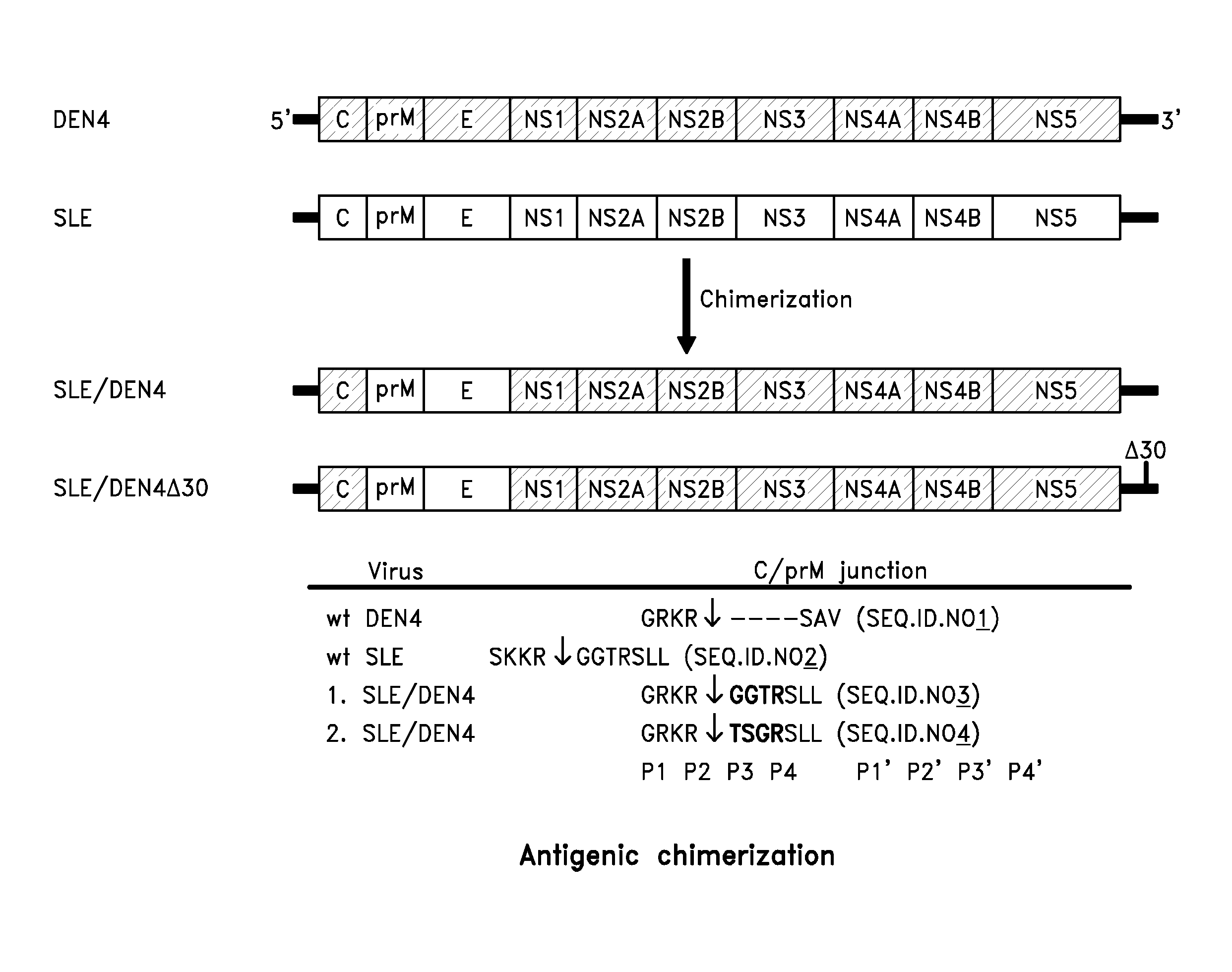 Chimeric sle/dengue type 4 antigenic viruses