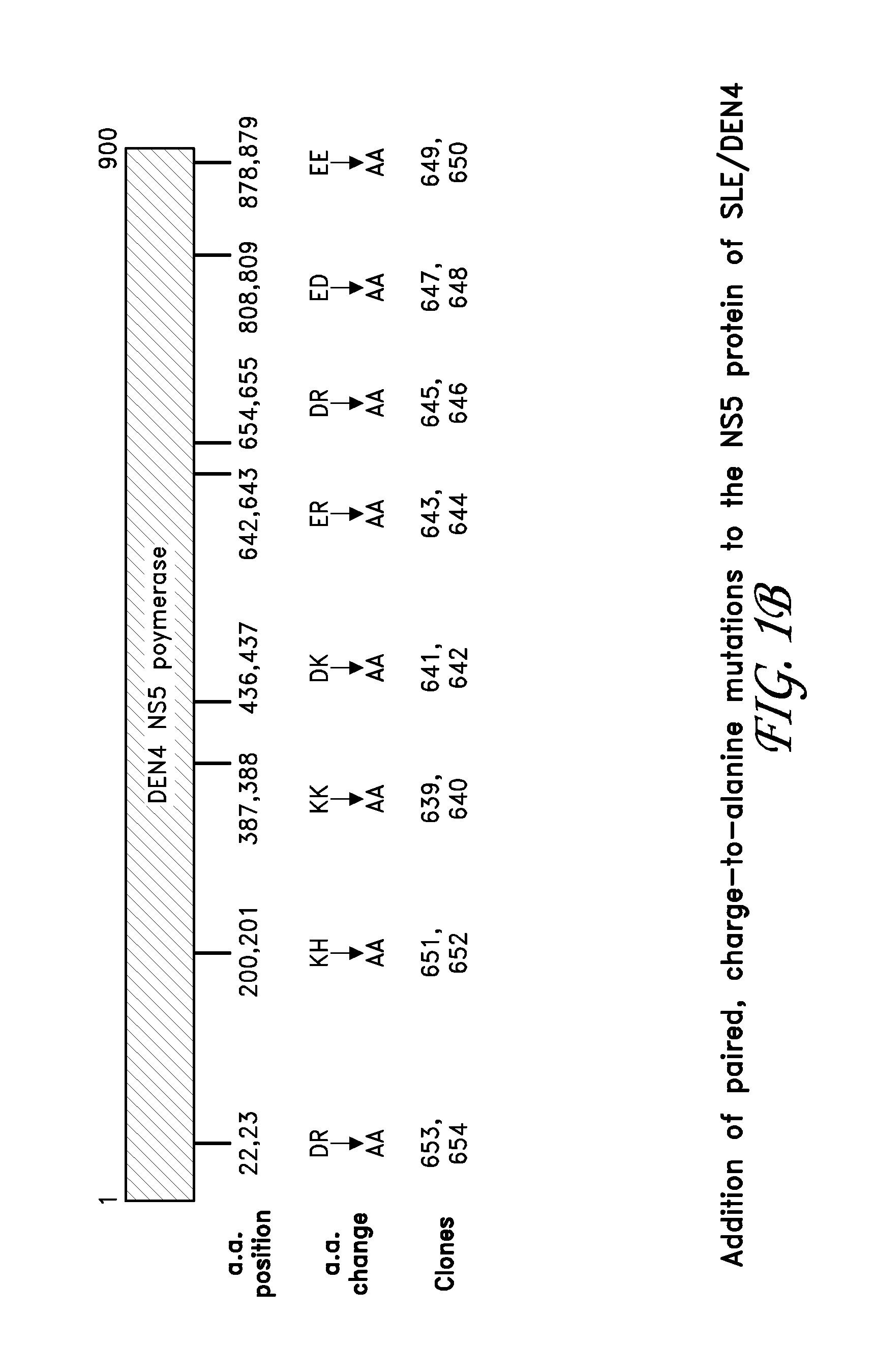 Chimeric sle/dengue type 4 antigenic viruses