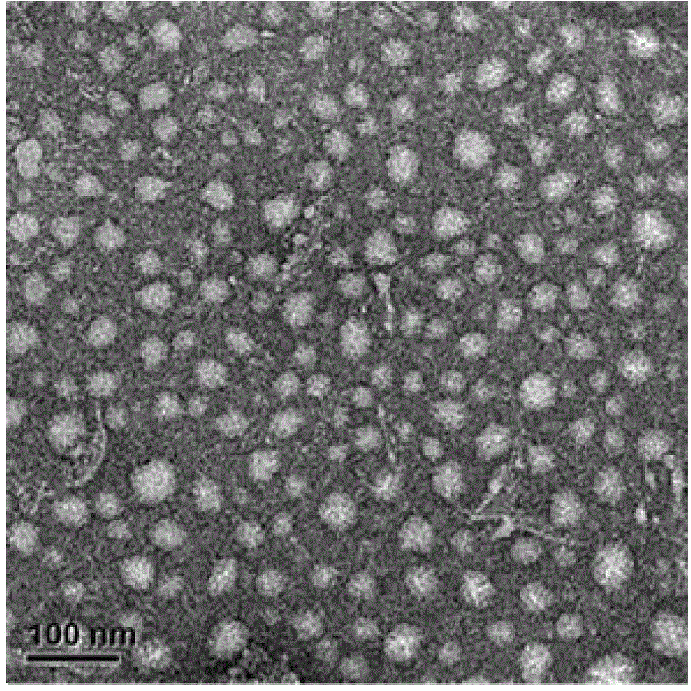 Antineoplastic polypeptide nanometer drug, preparation method and application thereof