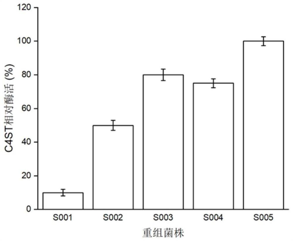 Method for efficiently producing chondroitin sulfate A by artificial enzymatic method