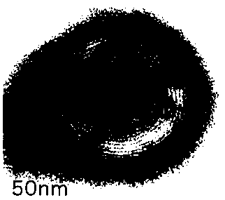 A preparation method of multilamellar lipid vesicles wrapped with forskolin