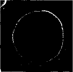 A preparation method of multilamellar lipid vesicles wrapped with forskolin