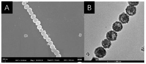 Rotatable magnetic nano chain supported palladium nanoparticle catalyst and preparation method thereof