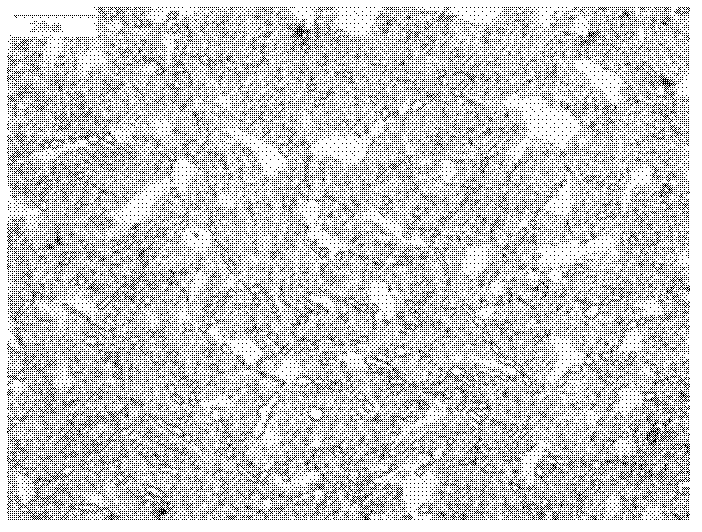 Corrosion-resistant plastic mold steel and preparation method thereof