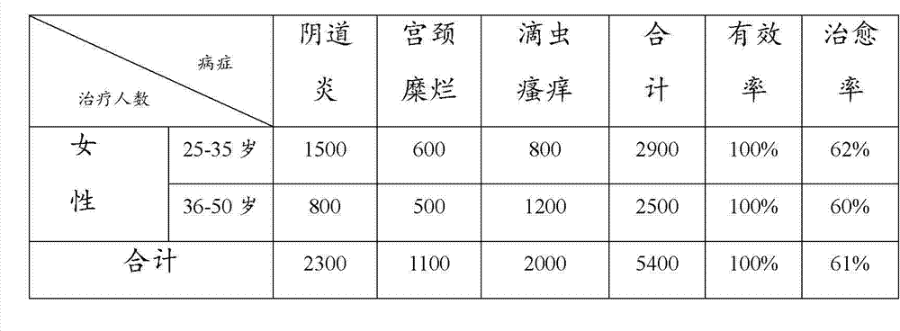 Chinese medicament for treating gynecological inflammation and preparation method