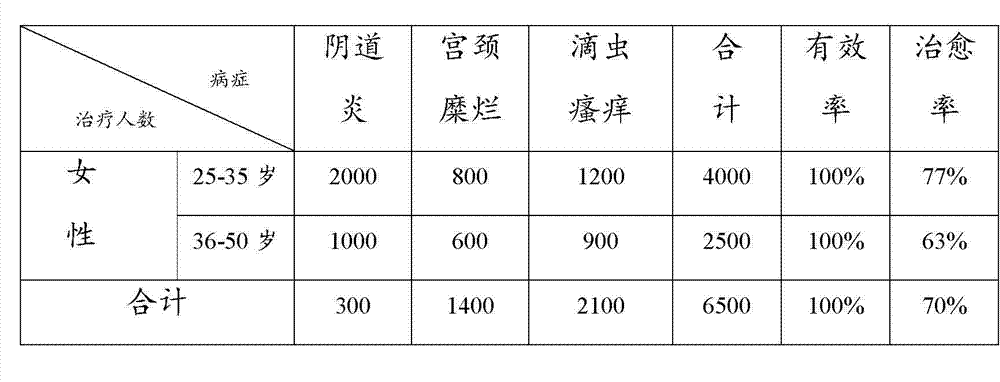 Chinese medicament for treating gynecological inflammation and preparation method