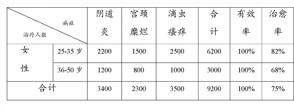 Chinese medicament for treating gynecological inflammation and preparation method