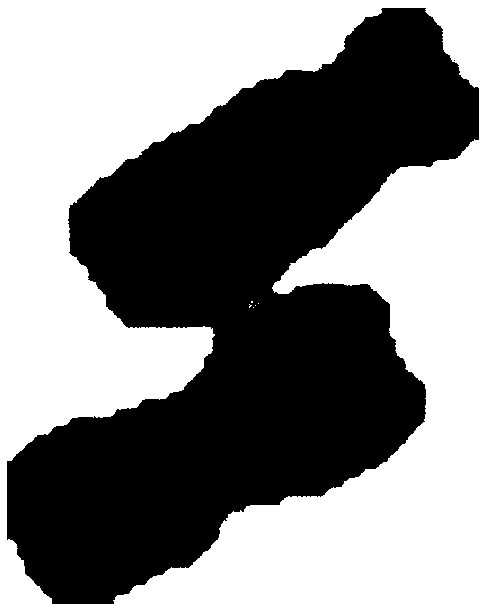 G-banded adherent chromosome segmentation method based on geometrical features and region fusion is proposed