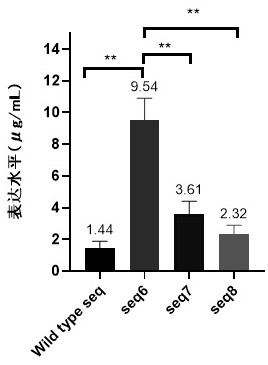 Novel coronavirus Brazilian strain p.  1 The gene of mutant rbd and its application