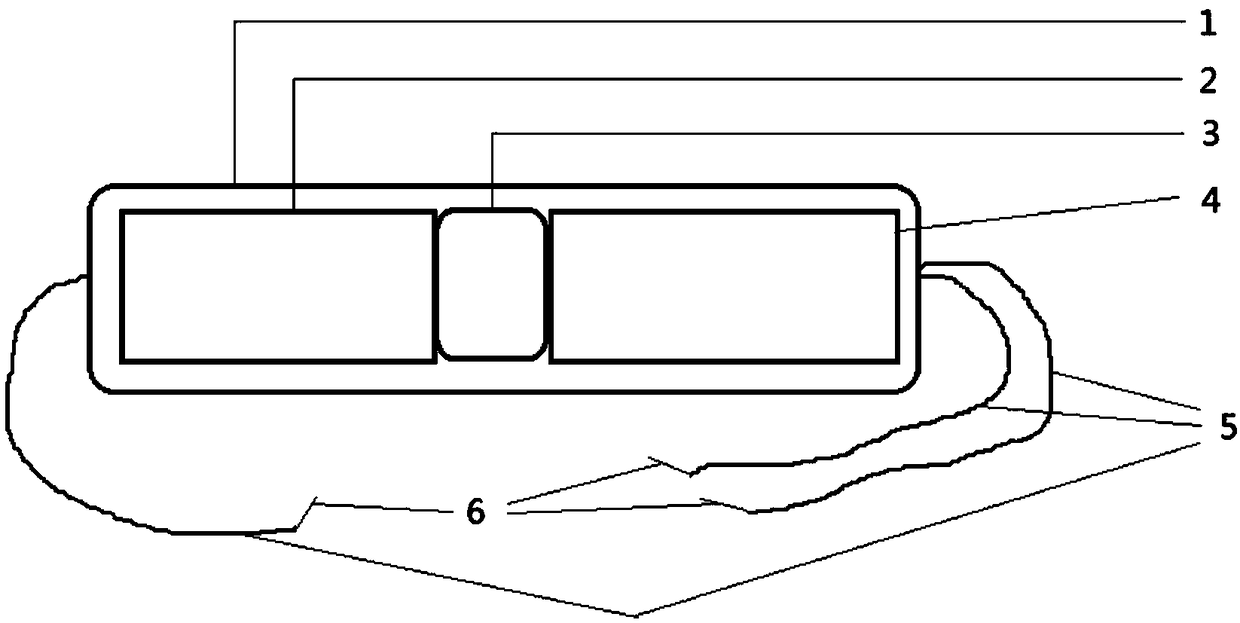 Fish real-time ECG miniature collecting method, device and system