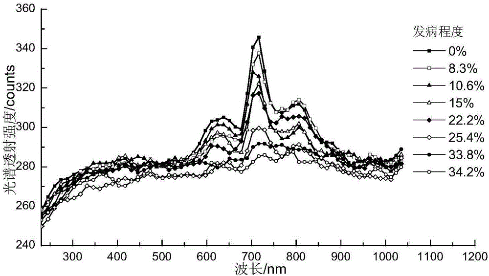 Low-cost lossless and fast detecting equipment for apple moldy core