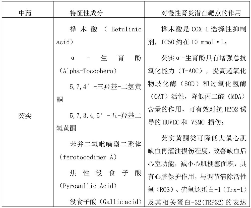 Traditional Chinese medicine composition for preventing and treating chronic nephritis as well as preparation method and preparation thereof