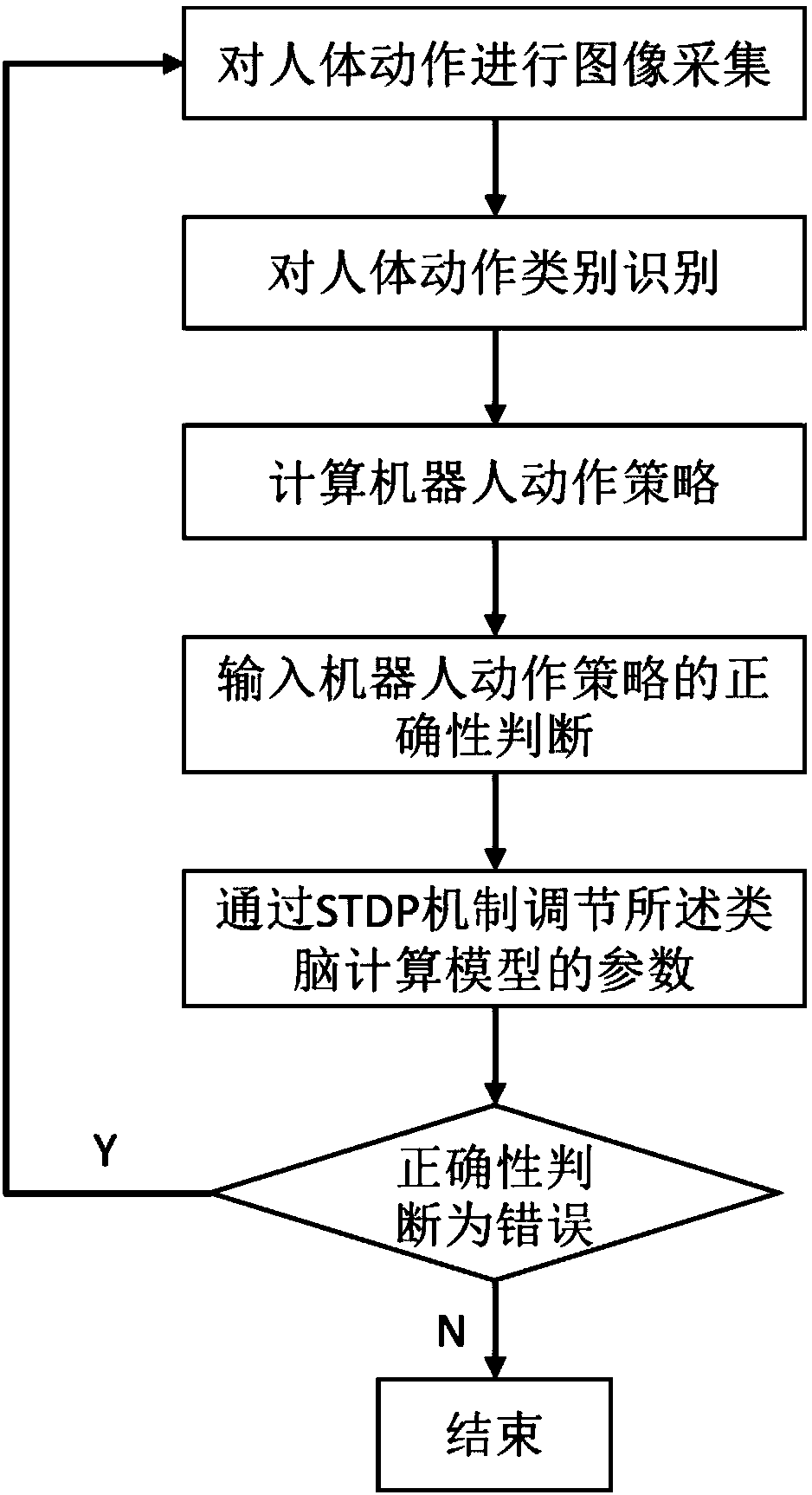 Human action intention recognition training method based on cooperative computation of multiple brain areas