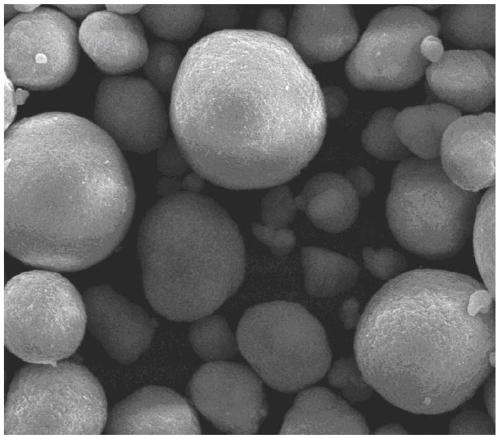 Large scale preparation method of high-nickel cobalt-free precursor and cathode material