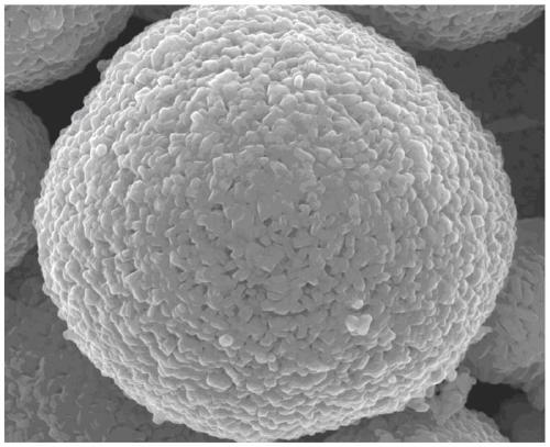 Large scale preparation method of high-nickel cobalt-free precursor and cathode material