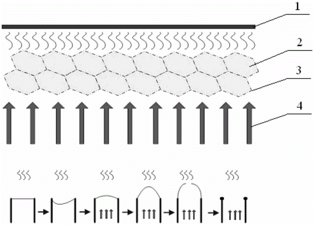 A kind of honeycomb core end face grid sizing process method based on thermal breakage of adhesive film