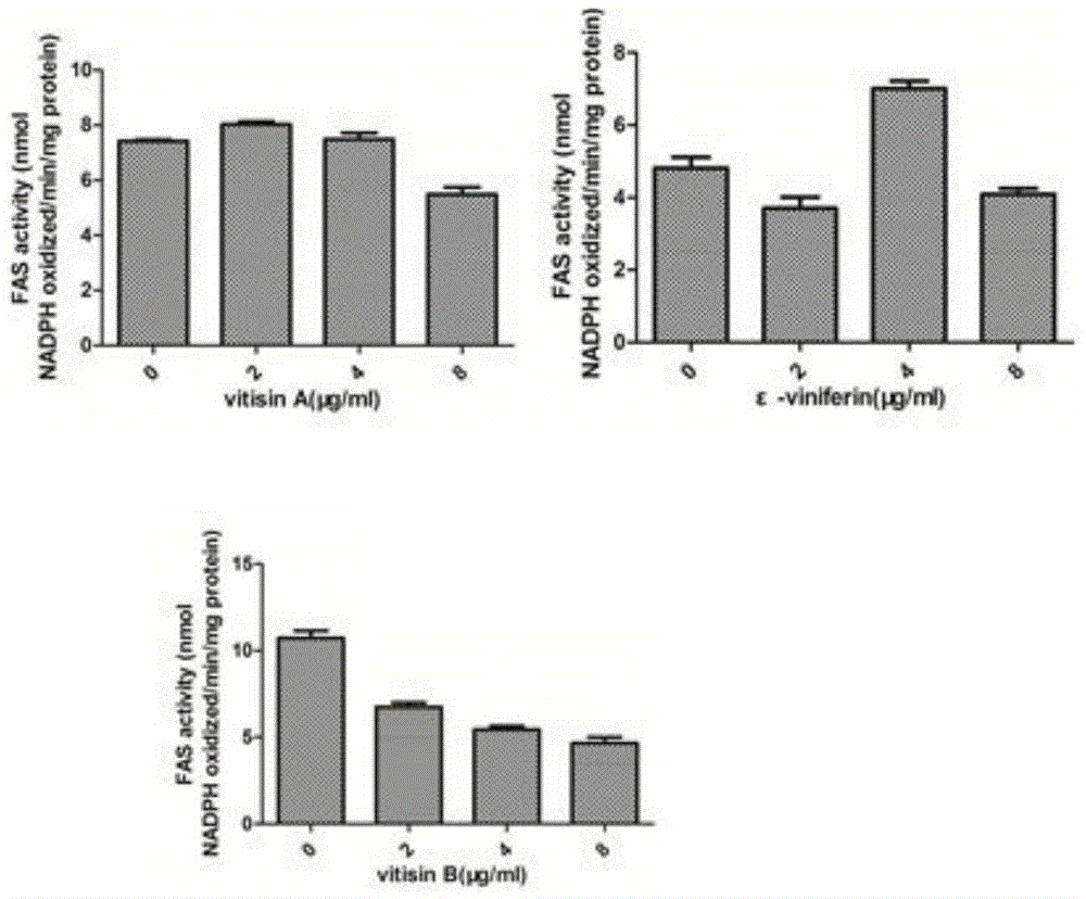 Application of resveratrol oligomer in drug preparation