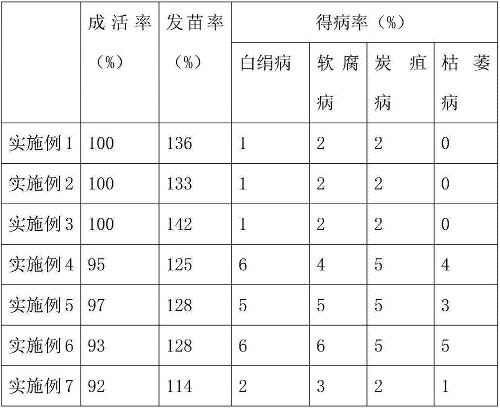 Chinese Cymbidium antibacterial matrix and simplified cultivation method of Chinese Cymbidium