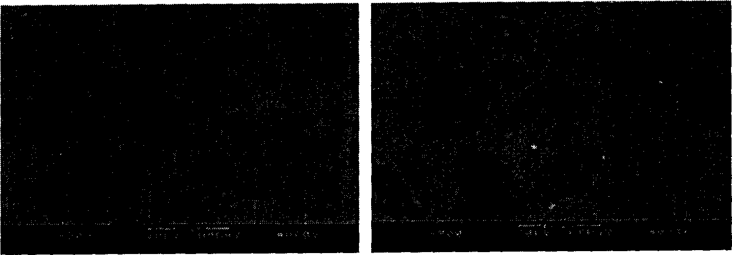 Process for sintering and infiltration preparation of tungsten chrome-copper composite materials