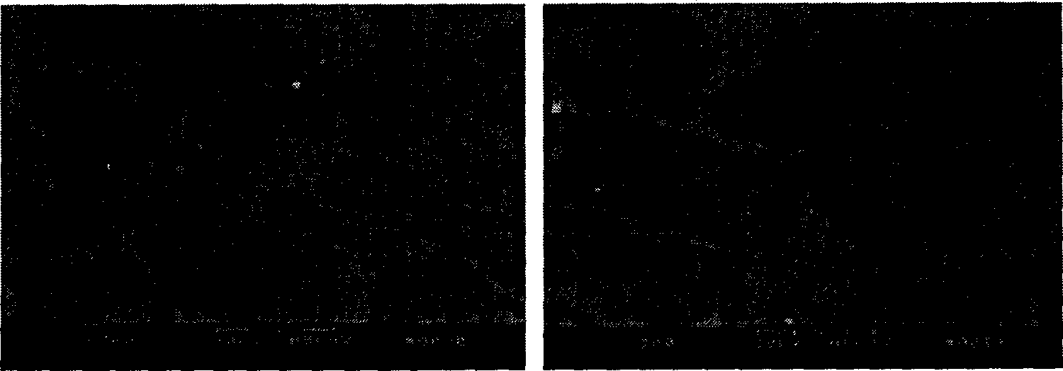 Process for sintering and infiltration preparation of tungsten chrome-copper composite materials