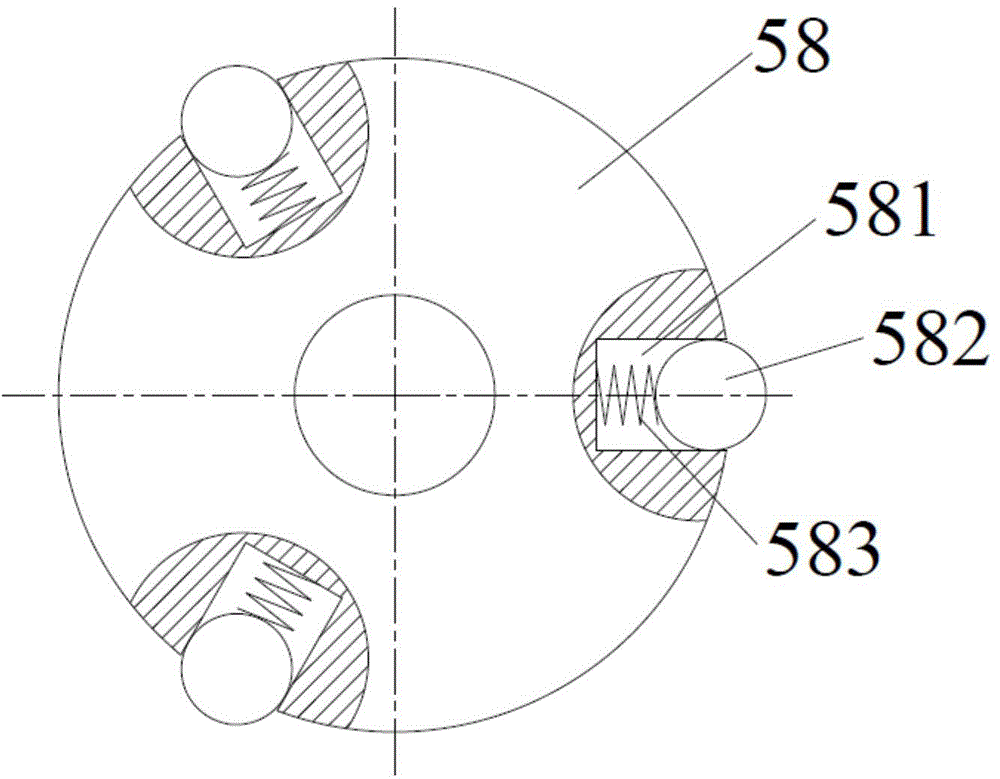 Scindapsus aureus cultivation instrument