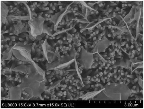 Preparation method of photoelectrode loaded with zinc-nickel-cobalt basic carbonate