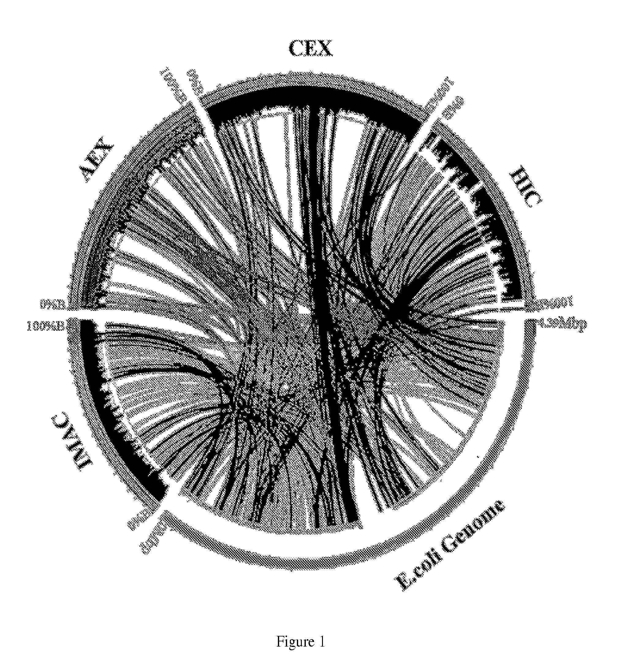 Separatome-based protein expression and purification platform