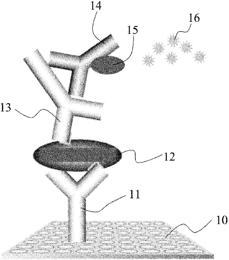 Foot-and-mouth disease hybridoma cell line, monoclonal antibody, detection reagent and kit