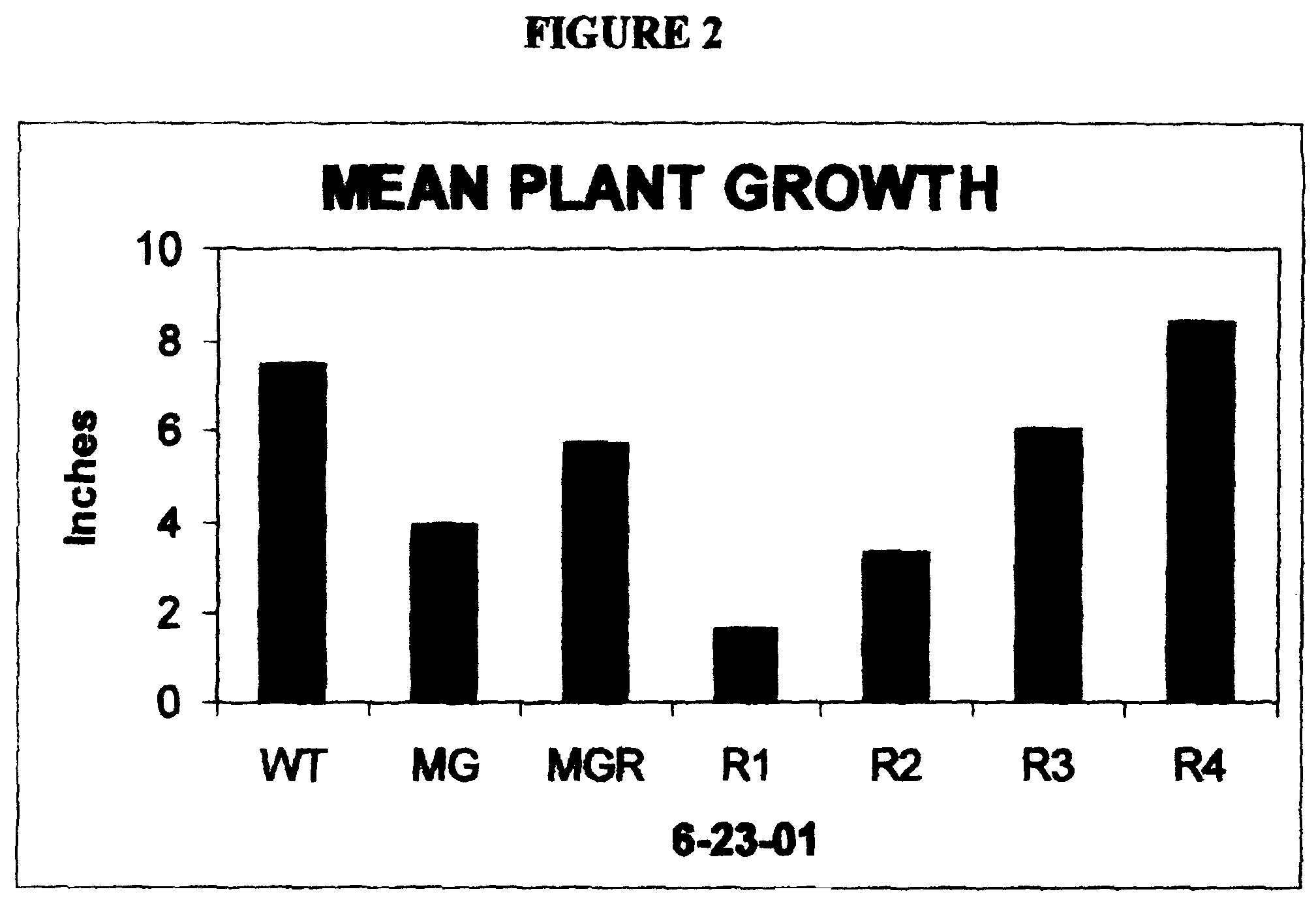 Use of ribose to enhance plant growth