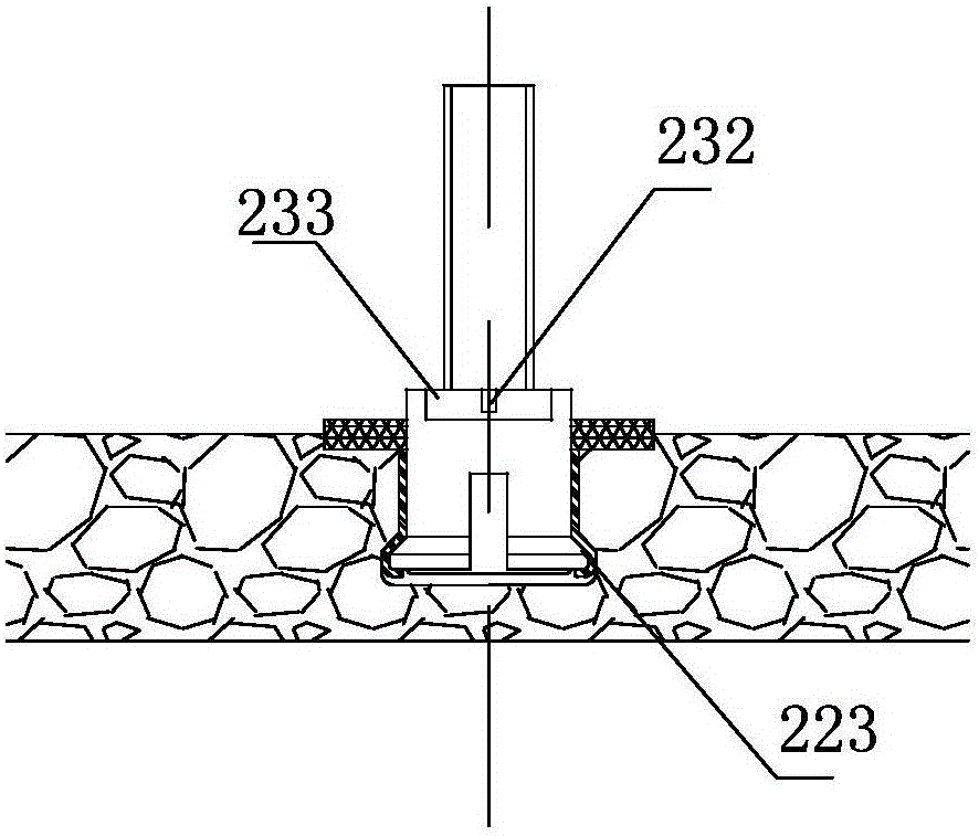 Back bolt and connection structure