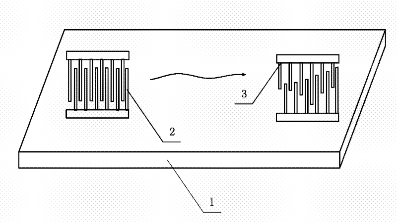 Radio altitude signal simulator assembly based on surface acoustic wave delay lines