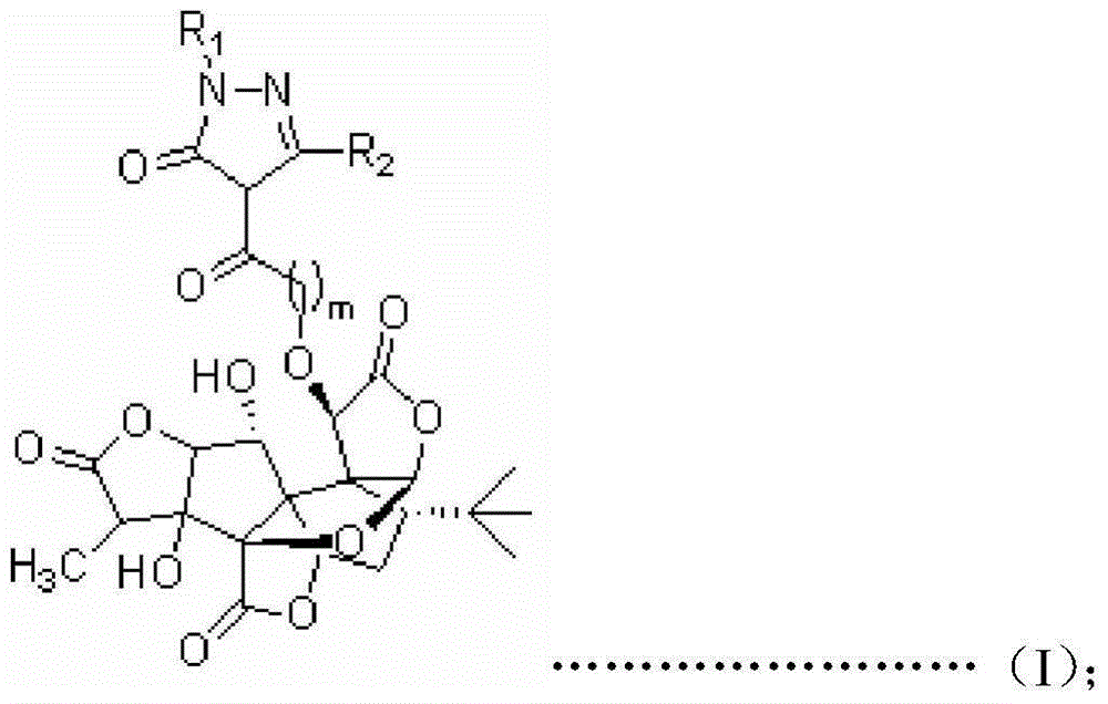 Ginkgolide B derivative based on double target spots of PAF (Platelet Activating Factor)/ROS (Reactive Oxygen Species), and preparation method of derivative