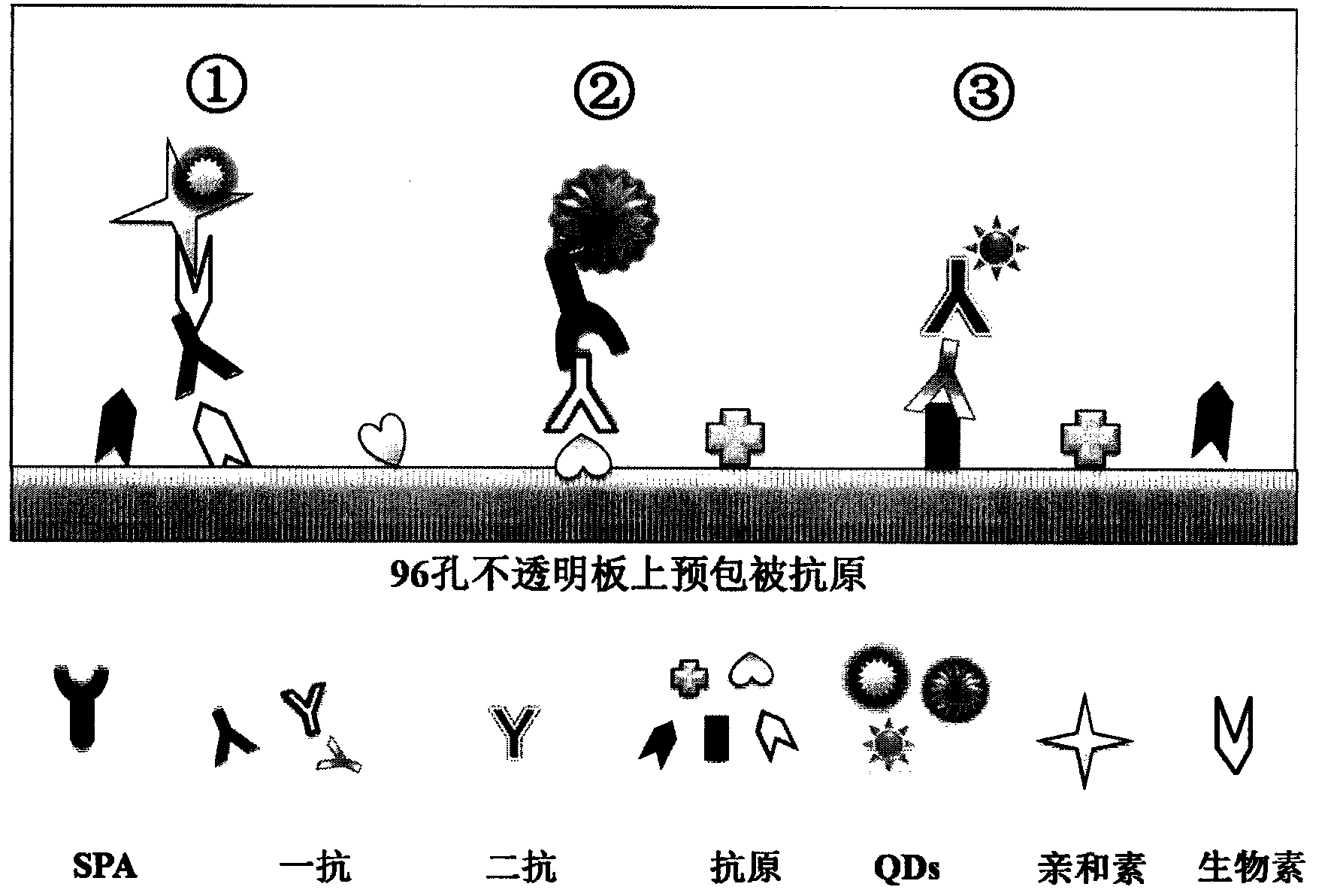 Method of detecting residue of small-molecule substance harmful to human body and a special kit