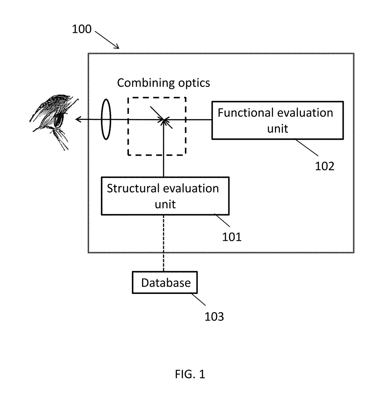 Systems and methods for combined structure and function evaluation of retina