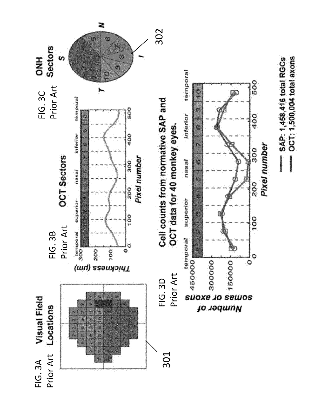 Systems and methods for combined structure and function evaluation of retina