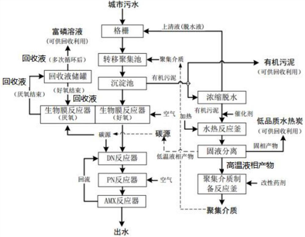 A Municipal Wastewater Treatment Process for Recovering Organic Matter and Phosphorus