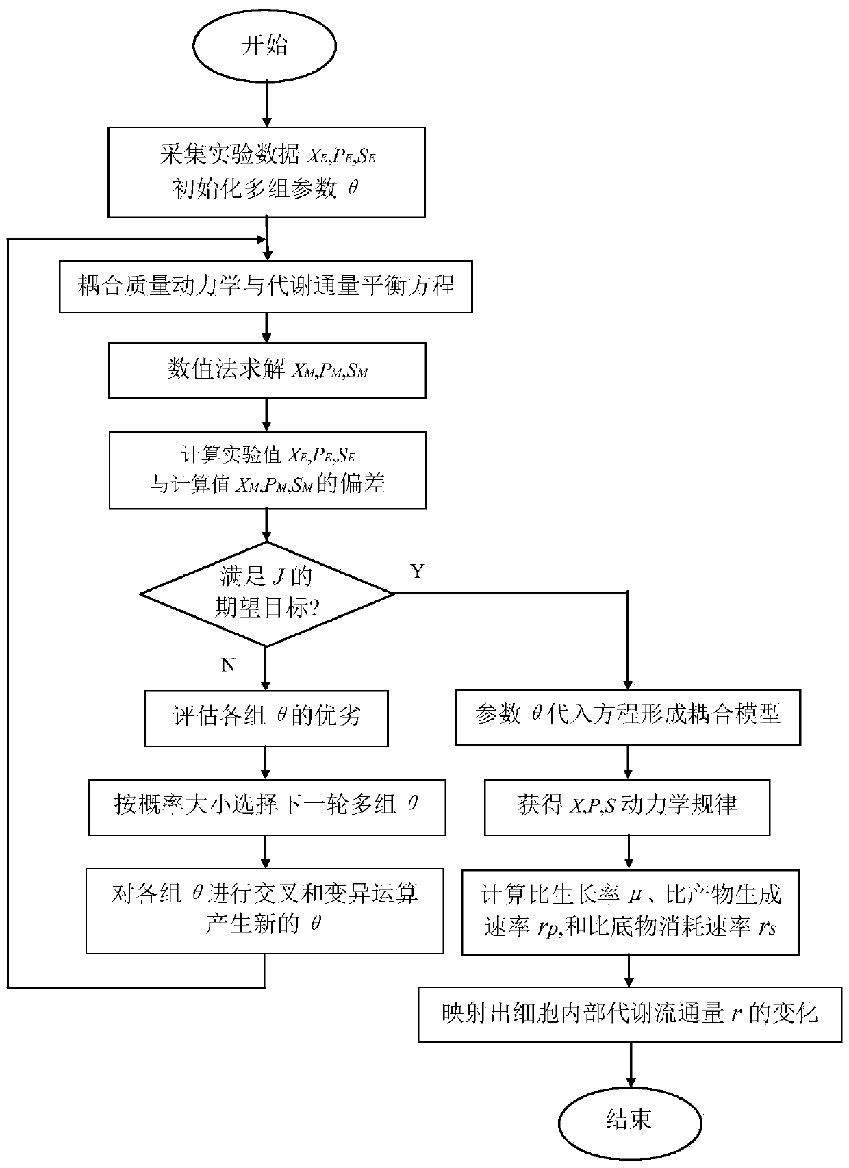 Macrodynamics and cell metabolic flux coupling modeling method in lysine biological manufacturing