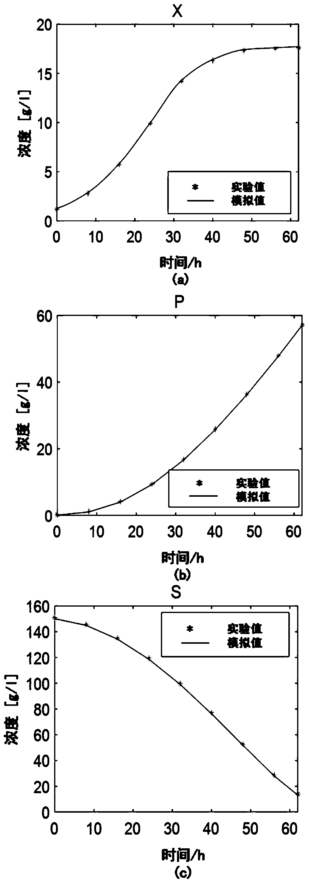 Macrodynamics and cell metabolic flux coupling modeling method in lysine biological manufacturing