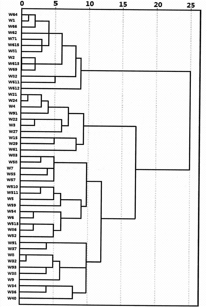 A Method for Quantitatively Analyzing Matter Sources Using Light and Heavy Minerals