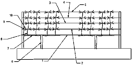 Shaping and pruning method for plum trees and apricot trees