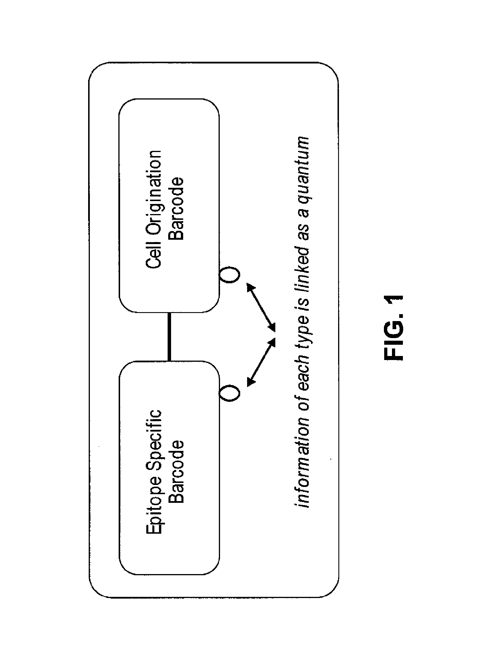 Increasing dynamic range for identifying multiple epitopes in cells