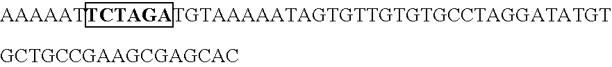 Polynucleotide for target gene