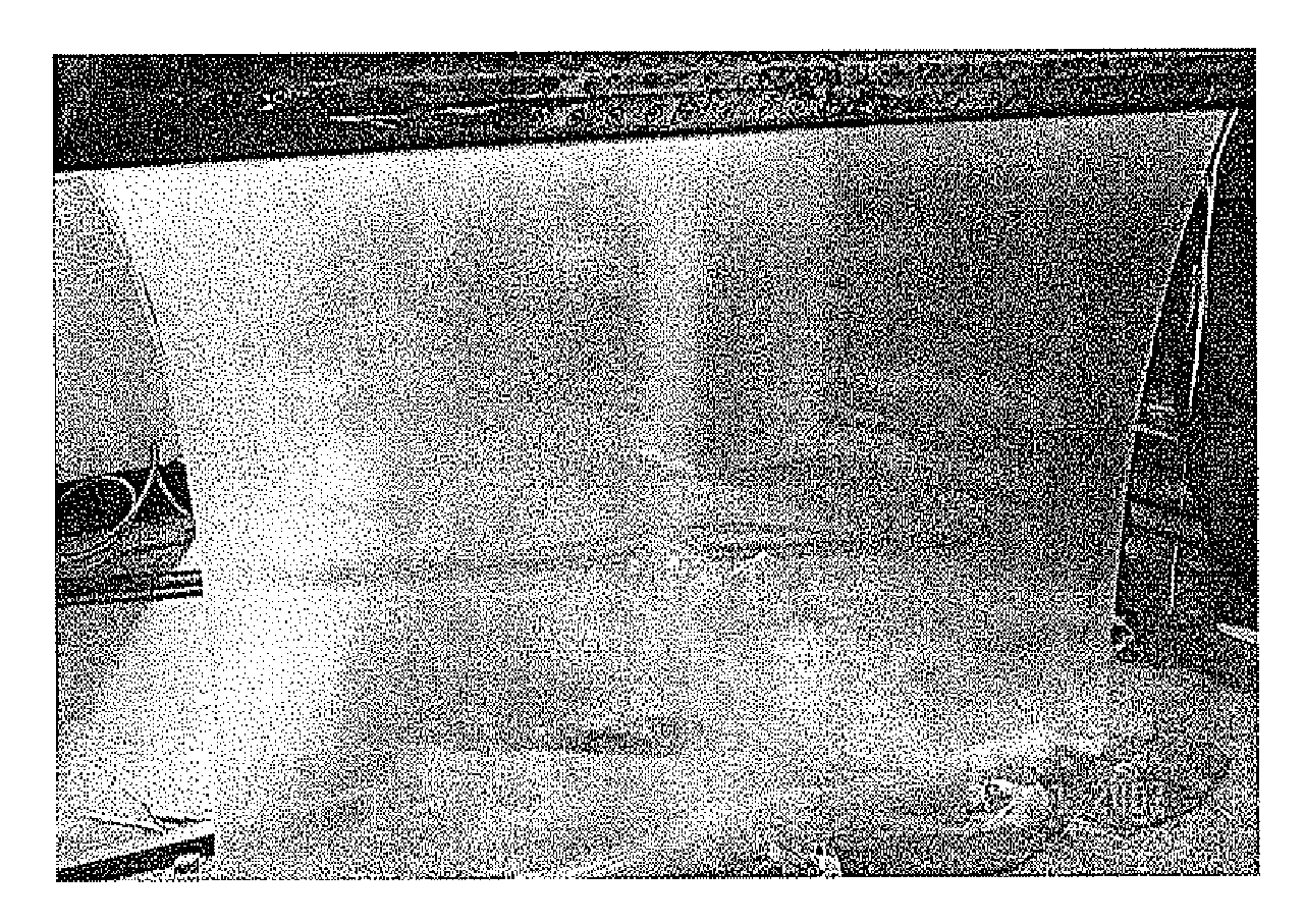 Plasticizer, a biodegradable material comprising the plasticizer and application thereof