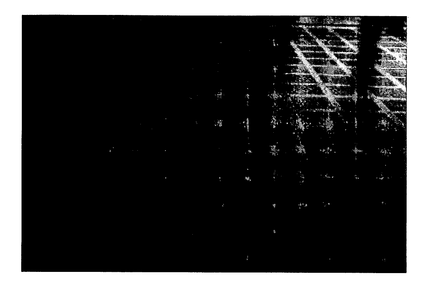 Fixed abrasive pad having different real contact areas and fabrication method thereof