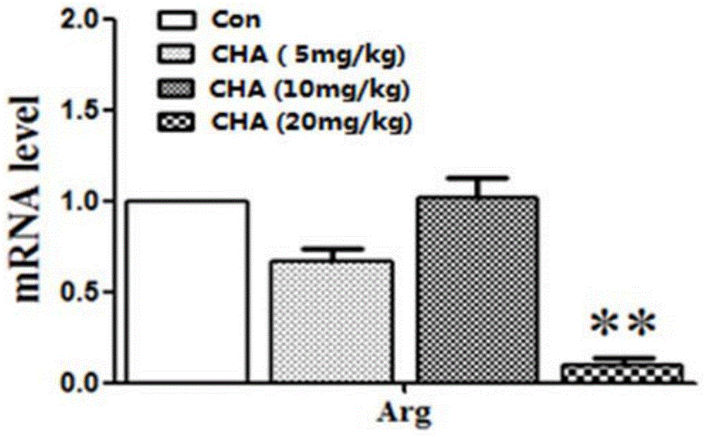 Application of chlorogenic acid in preparation of medicine for treating melanoma and medicine for treating melanoma