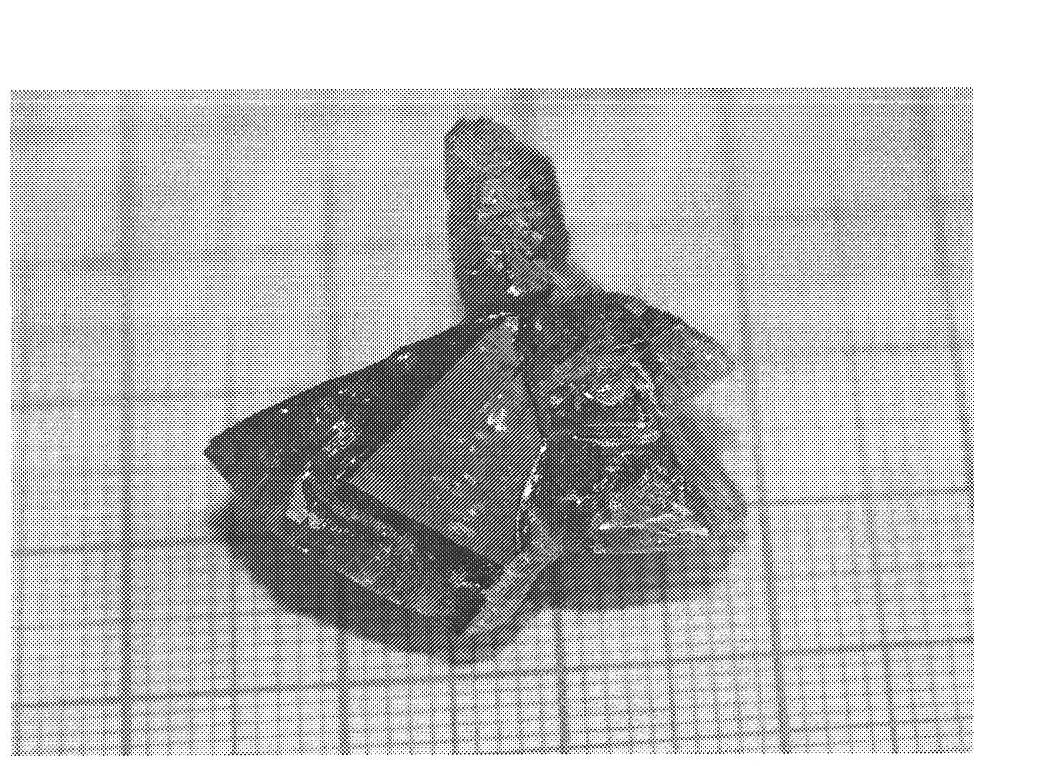 Tellurium-caesium molybdate crystal, growth of tellurium-caesium molybdate crystal by flux method and application